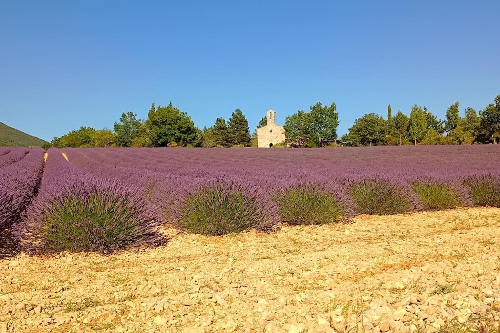 Mazet En Provence Pour 4, Piscine Chauffee Privee, Jardin Clos Prive, Barbecue, Chiens Admis Sainte-Jalle Exteriér fotografie